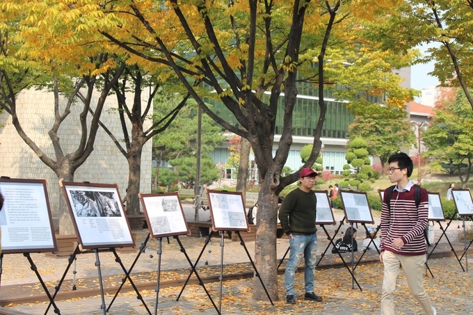 서울대